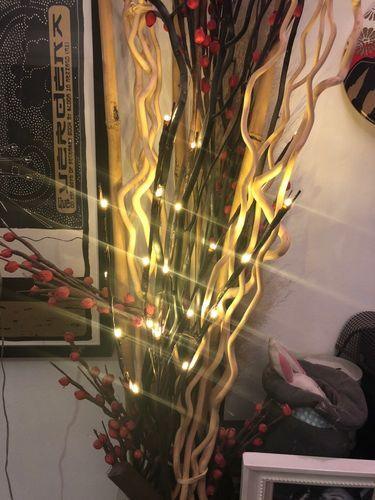 20LED Twigs Light String Decoration (75CM) / Battery-Operated / 5 Branches / Perfect for Parties, Weddings, Festivals / Indoor Decor - Dreamy-Designs Store Online