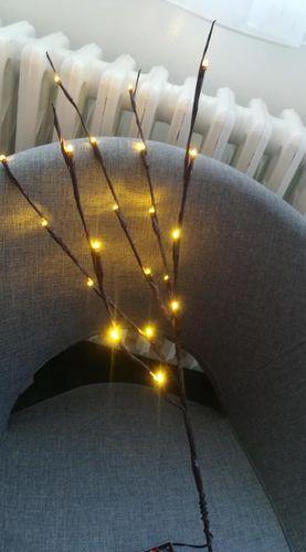 20LED Twigs Light String Decoration (75CM) / Battery-Operated / 5 Branches / Perfect for Parties, Weddings, Festivals / Indoor Decor - Dreamy-Designs Store Online